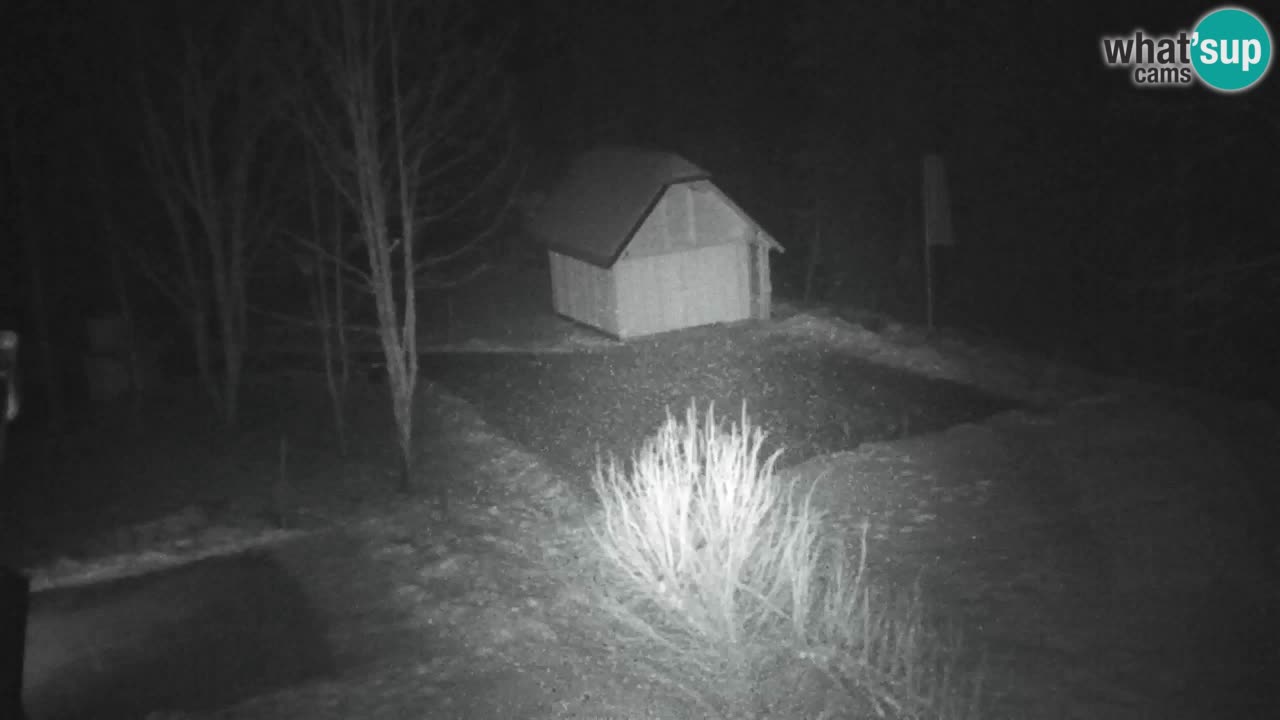 Webcam Lukanja – Water Village | Pohorje Houses