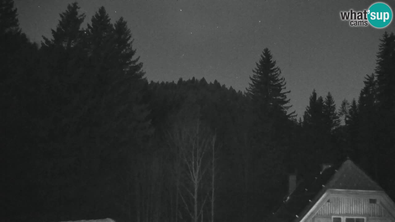 Web kamera Lukanja – Water Village | Pohorje Houses