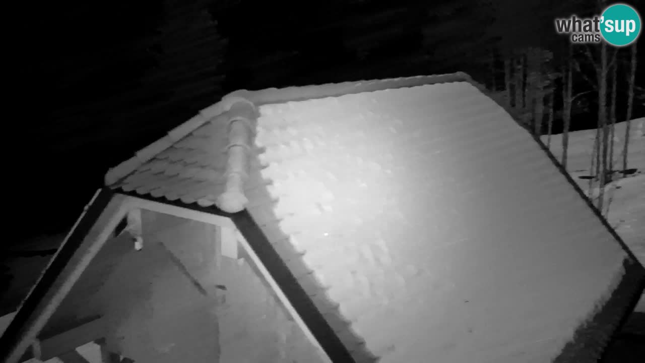 Spletna kamera Lukanja – Water Village | Pohorje Houses