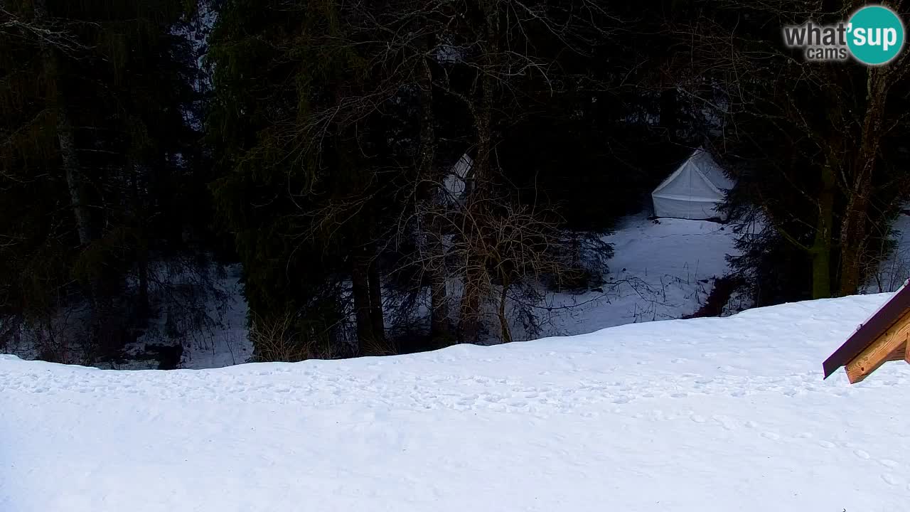 Webcam Lukanja – Water Village | Pohorje Houses