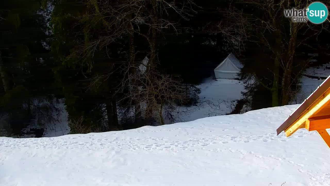 Webcam Lukanja – Water Village | Pohorje Houses