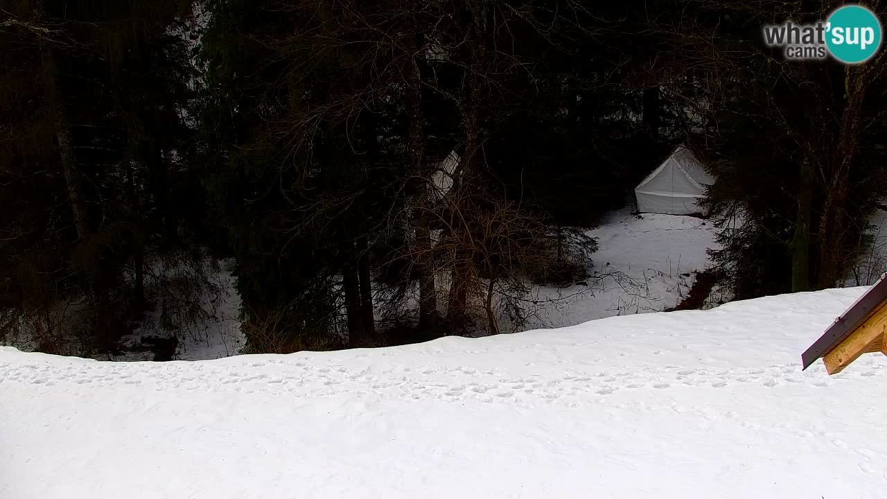 Webcam Lukanja – Pohorje houses a Water village