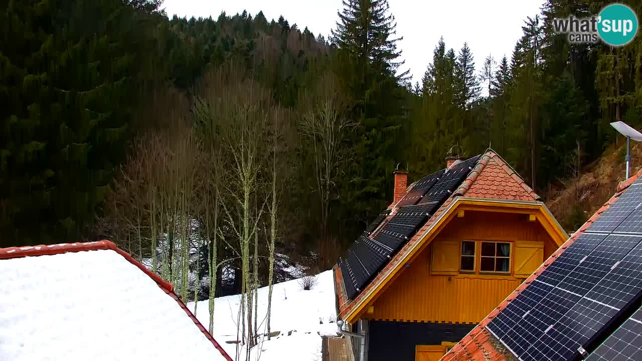 Webcam Lukanja – Pohorje houses a Water village