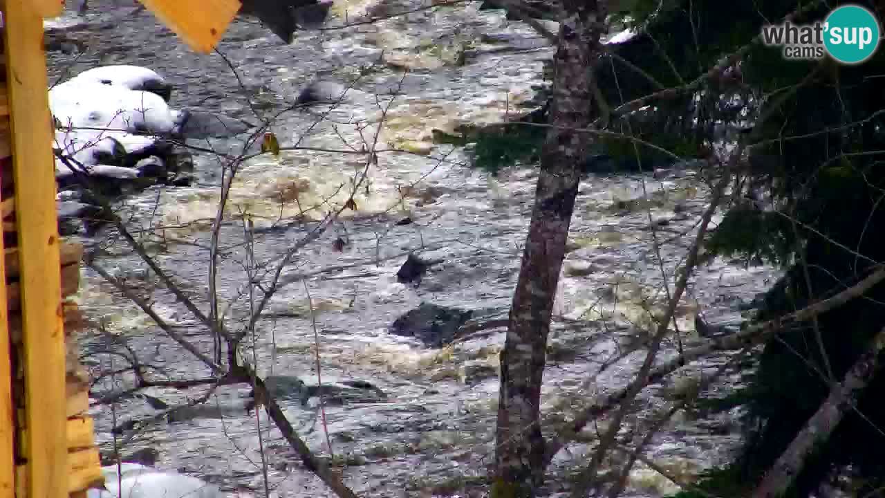 Webcam Lukanja – Pohorje houses a Water village