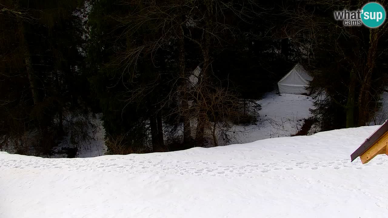 Webcam Lukanja – Water Village | Pohorje Houses