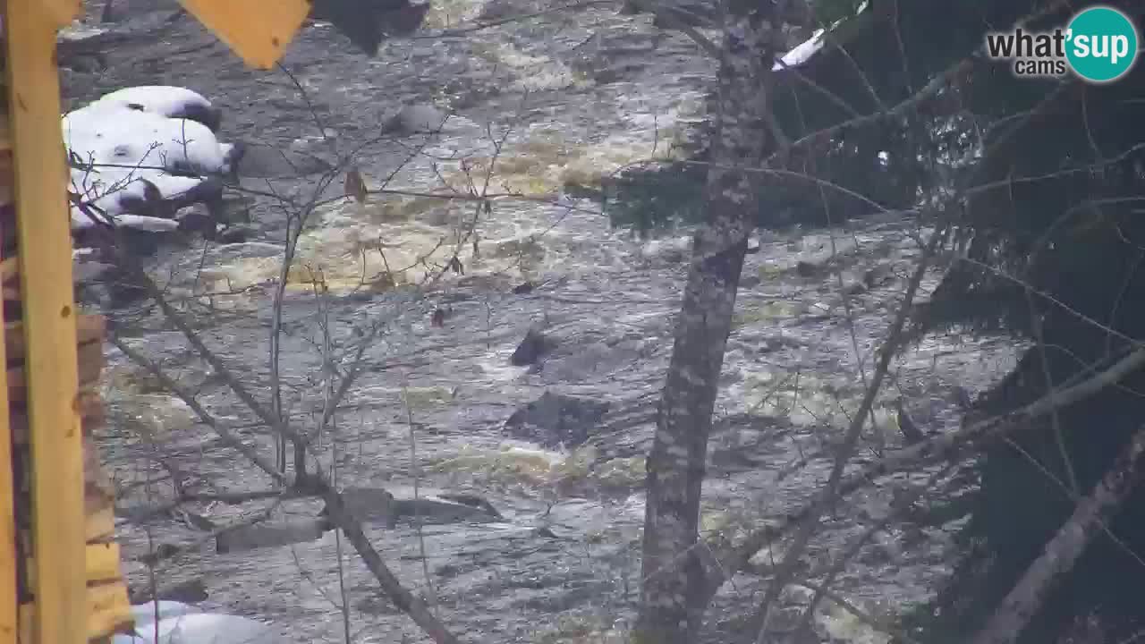 Webcam Lukanja – Water Village | Pohorje Houses