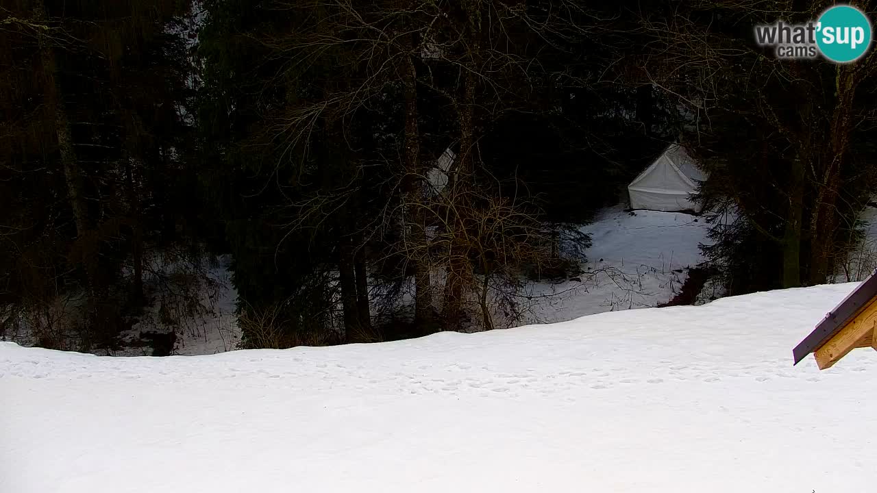 Webcam Lukanja – Water Village | Pohorje Houses