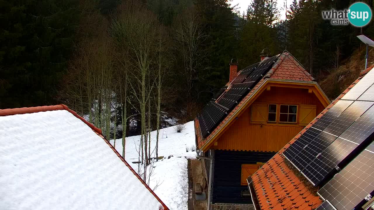 Webcam Lukanja – Water Village | Pohorje Houses