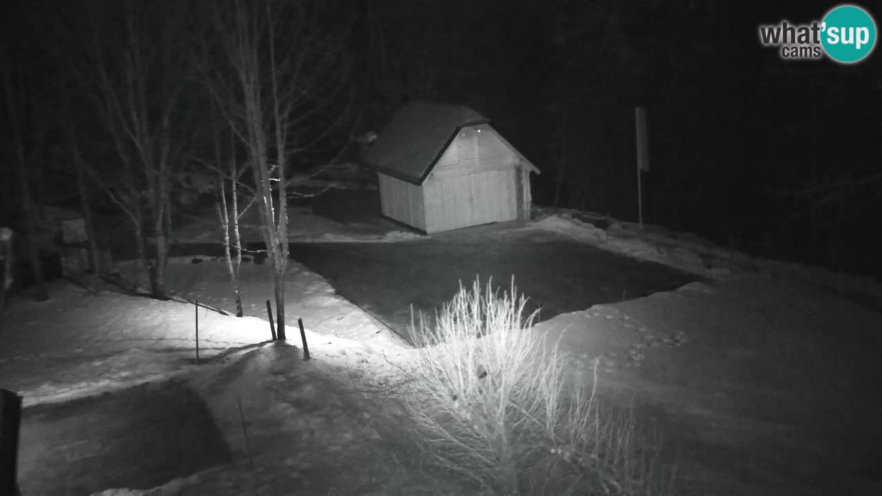 Webcam Lukanja – Water Village | Pohorje Houses