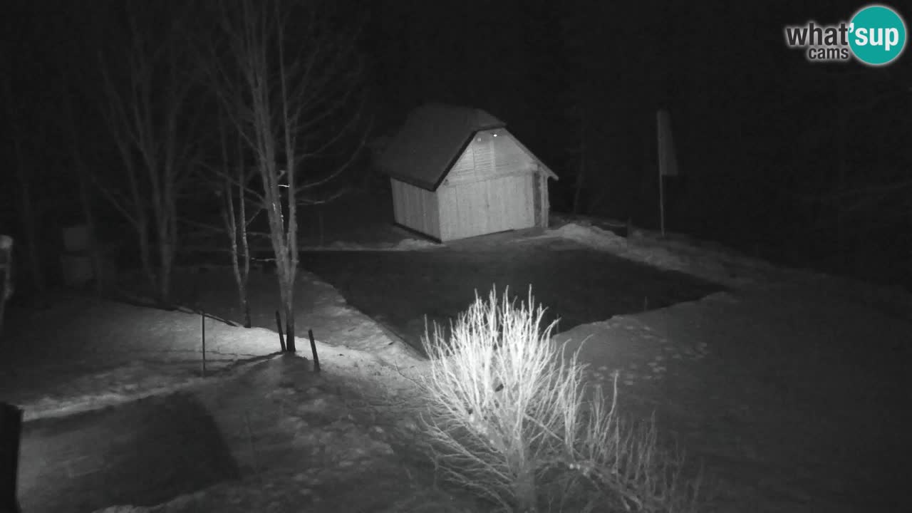 Webcam Lukanja – Water Village | Pohorje Houses