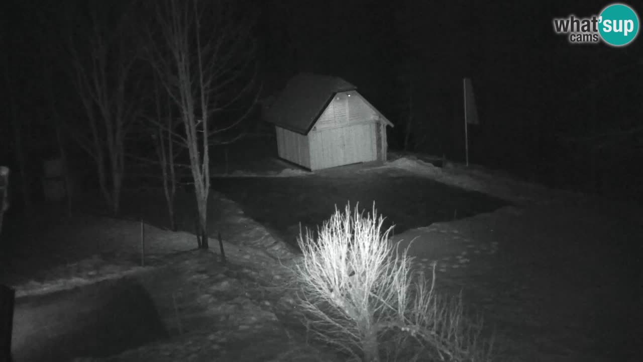 Webcam Lukanja – Water Village | Pohorje Houses