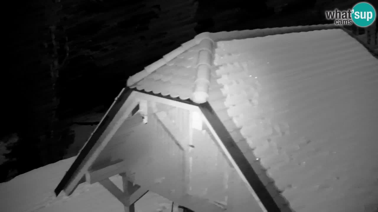 Webcam Lukanja – Water Village | Pohorje Houses