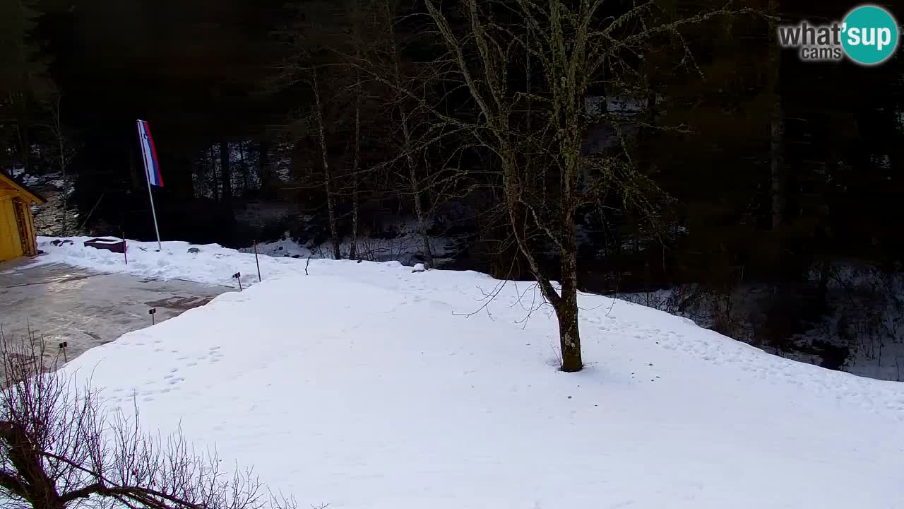 Spletna kamera Lukanja – Water Village | Pohorje Houses