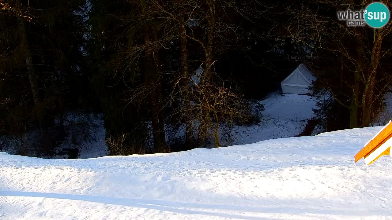 Spletna kamera Lukanja – Water Village | Pohorje Houses