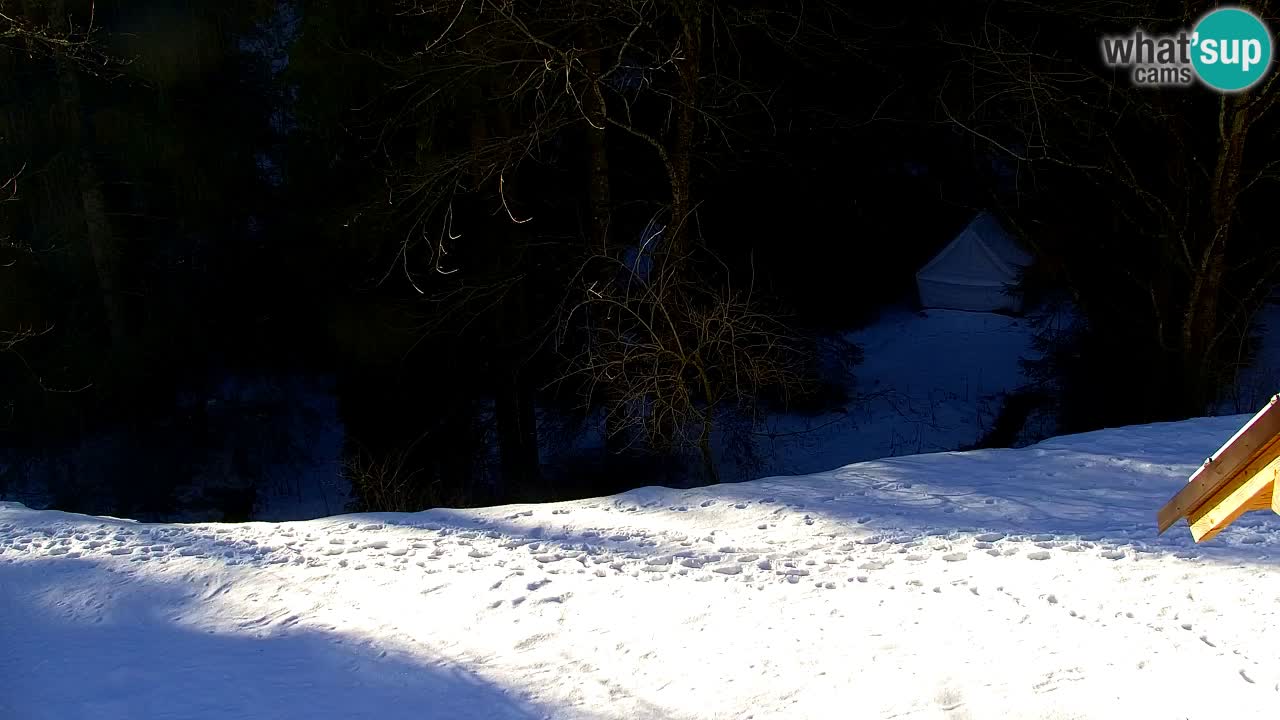 Webcam Lukanja – Pohorje houses a Water village