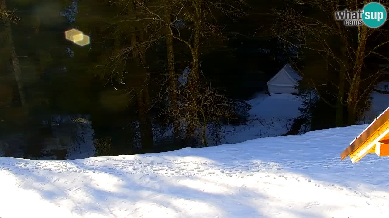 Spletna kamera Lukanja – Water Village | Pohorje Houses