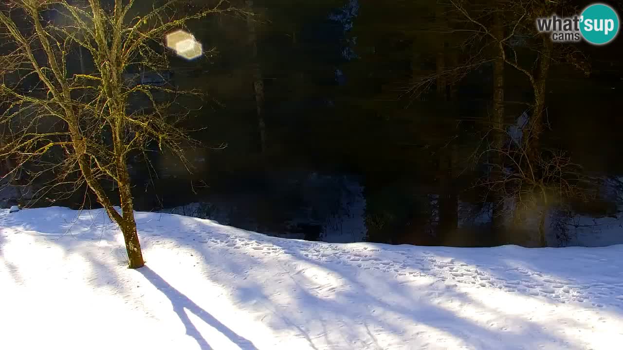 Spletna kamera Lukanja – Water Village | Pohorje Houses