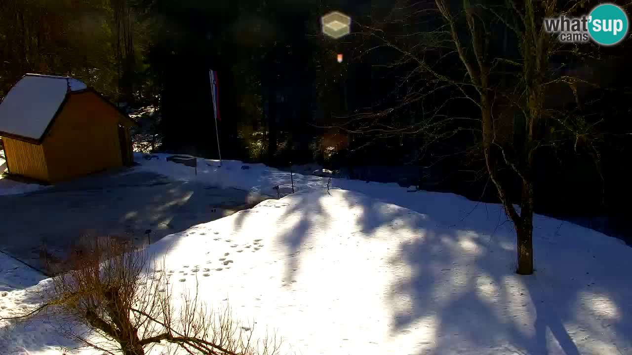 Webcam Lukanja – Water Village | Pohorje Houses