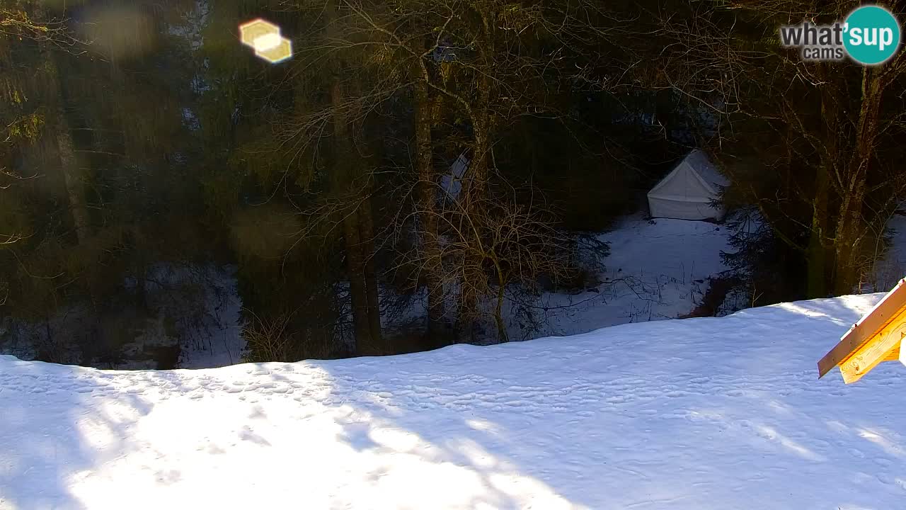 Spletna kamera Lukanja – Water Village | Pohorje Houses