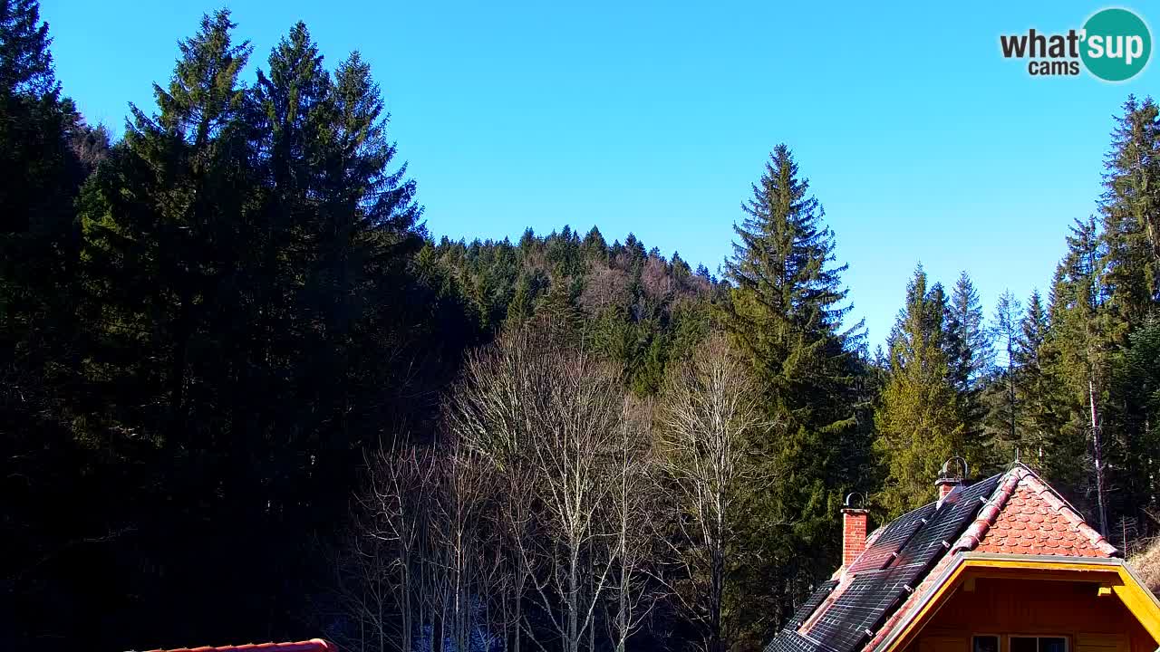 Webcam Lukanja – Water Village | Pohorje Houses