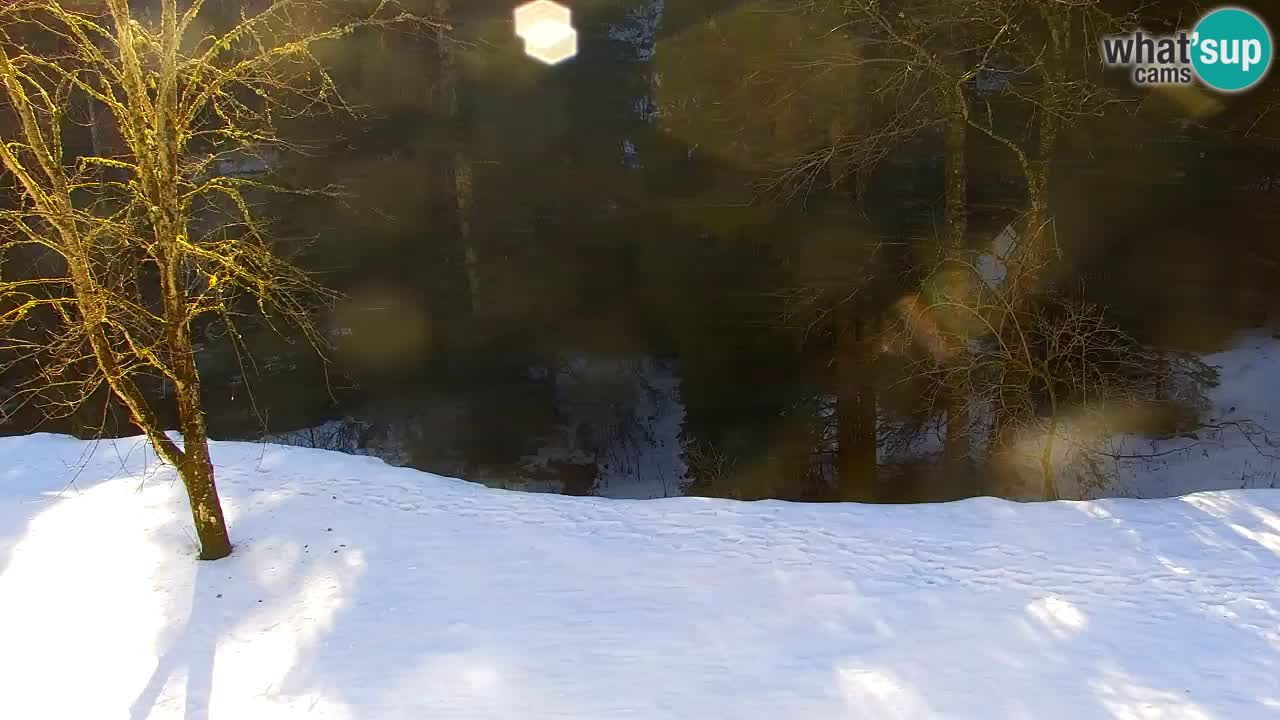 Spletna kamera Lukanja – Water Village | Pohorje Houses