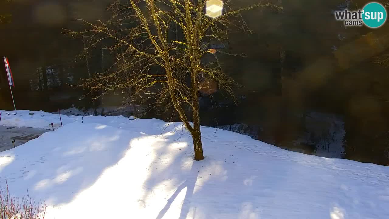 Web kamera Lukanja – Water Village | Pohorje Houses