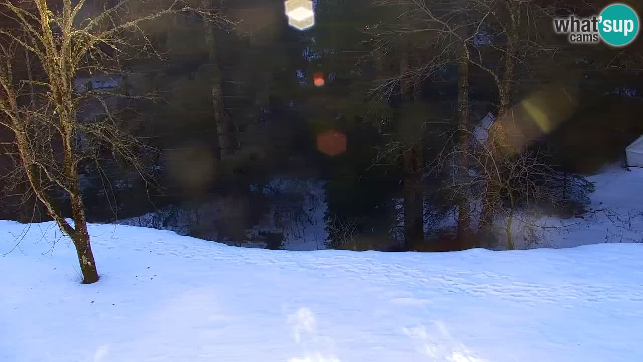 Webcam Lukanja – Water Village | Pohorje Houses