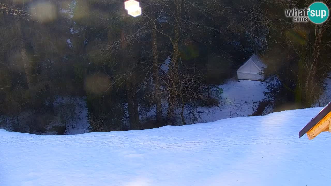 Webcam Lukanja – Water Village | Pohorje Houses