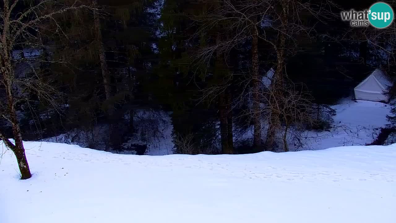 Webcam Lukanja – Water Village | Pohorje Houses