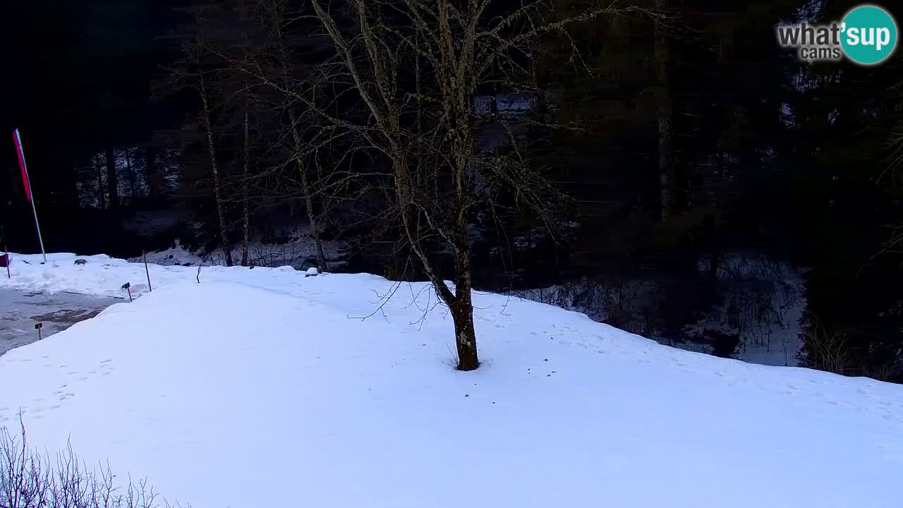 Webcam Lukanja – Water Village | Pohorje Houses