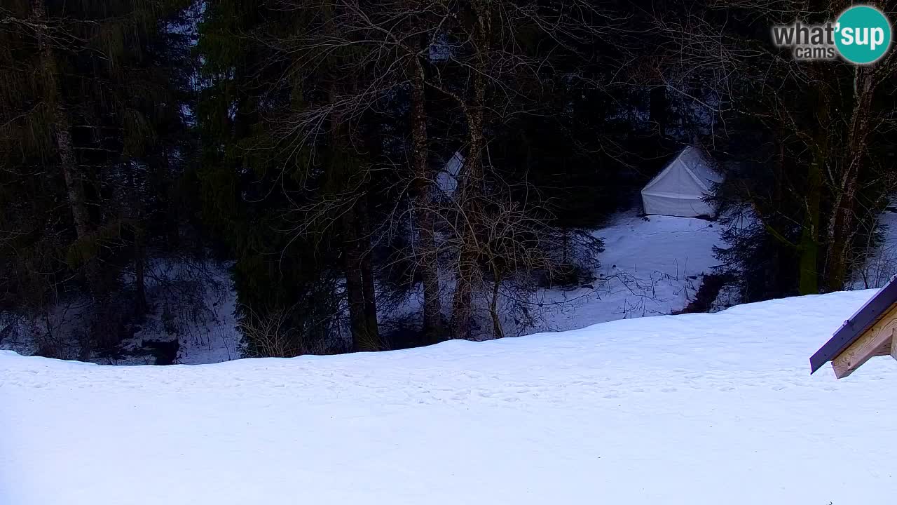 Spletna kamera Lukanja – Water Village | Pohorje Houses