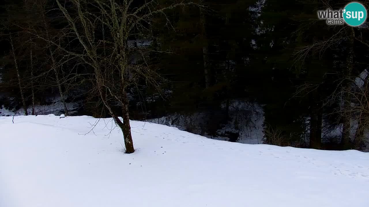 Webcam Lukanja – Water Village | Pohorje Houses