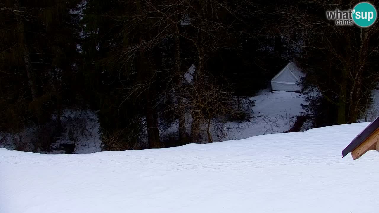 Webcam Lukanja – Pohorje houses a Water village