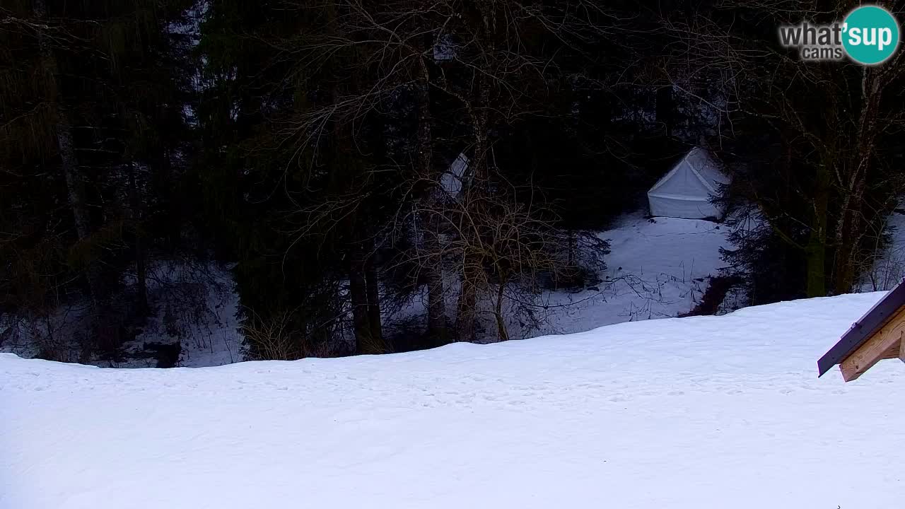 Web kamera Lukanja – Water Village | Pohorje Houses