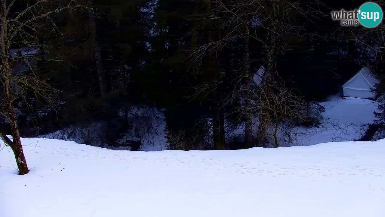 Webcam Lukanja – Water Village | Pohorje Houses