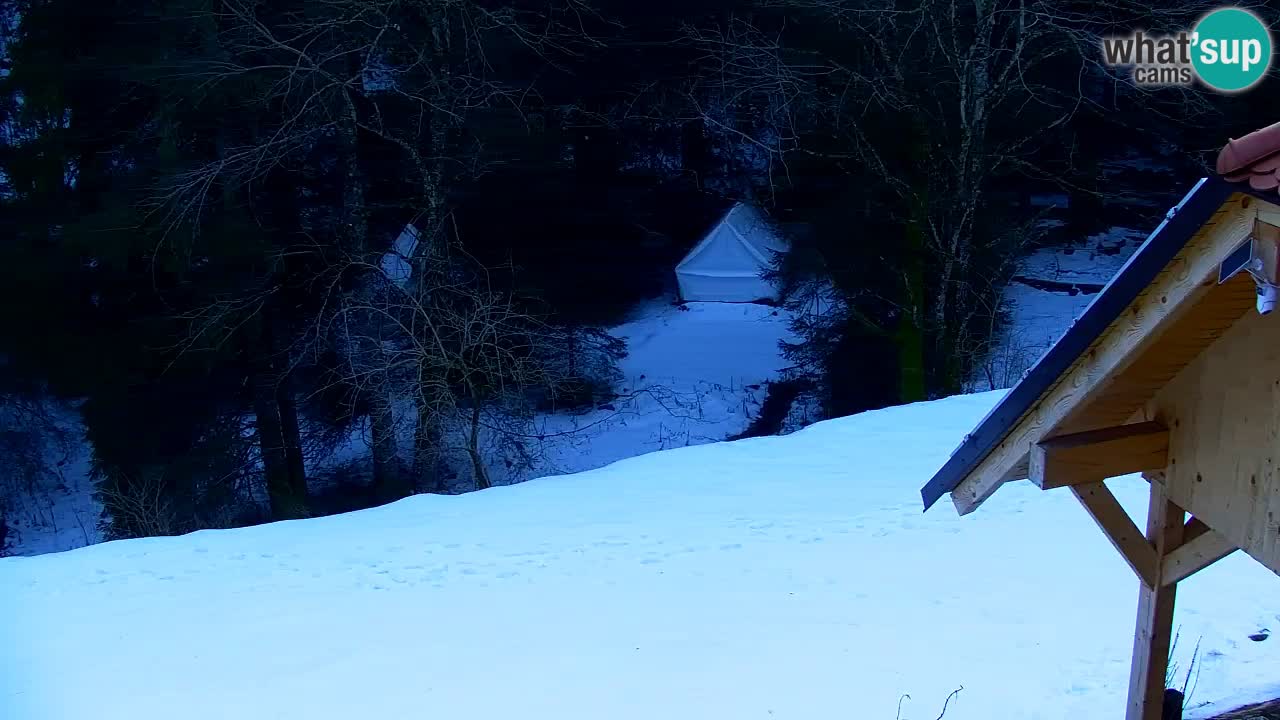 Webcam Lukanja – Water Village | Pohorje Houses