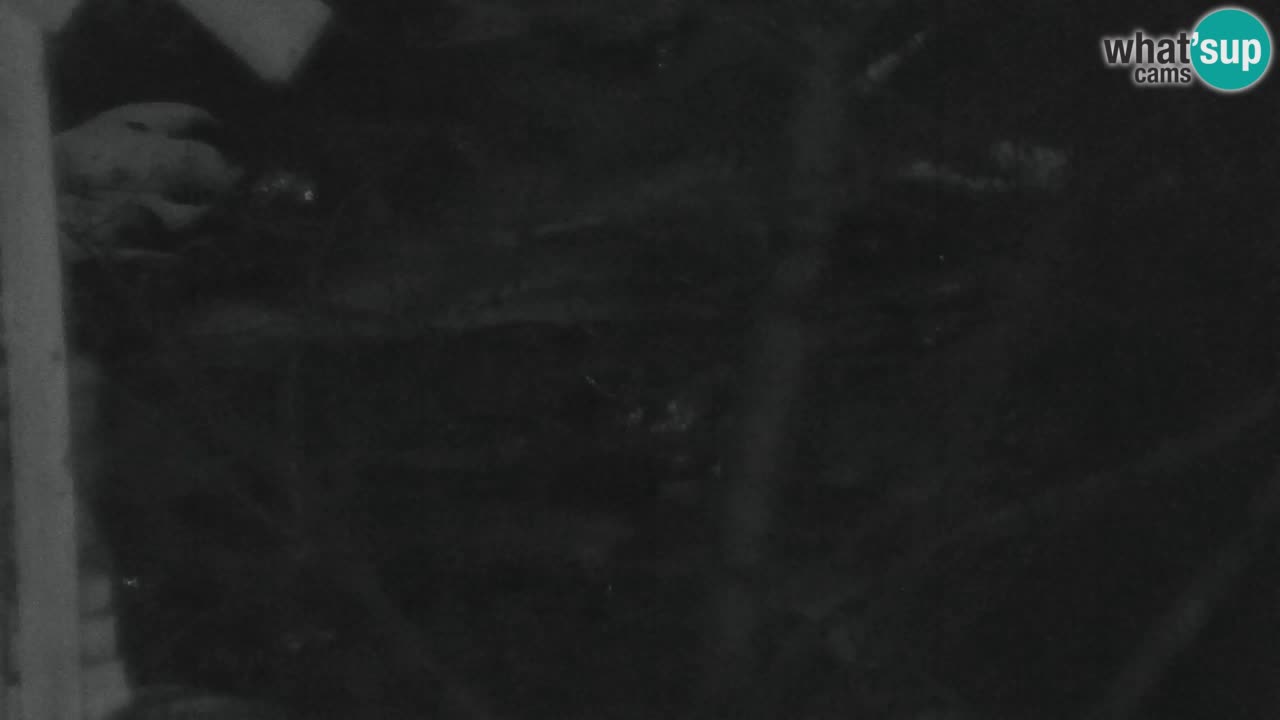 Webcam Lukanja – Pohorje houses a Water village