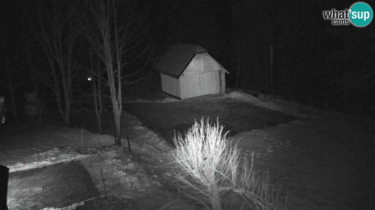 Webcam Lukanja – Pohorje houses a Water village