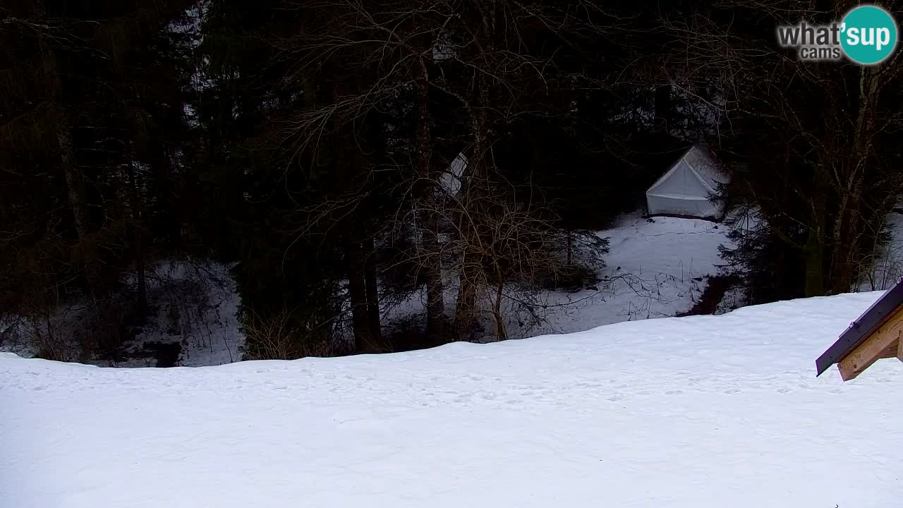 Webcam Lukanja – Water Village | Pohorje Houses