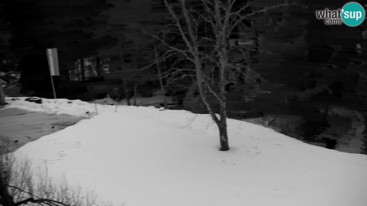 Webcam Lukanja – Water Village | Pohorje Houses