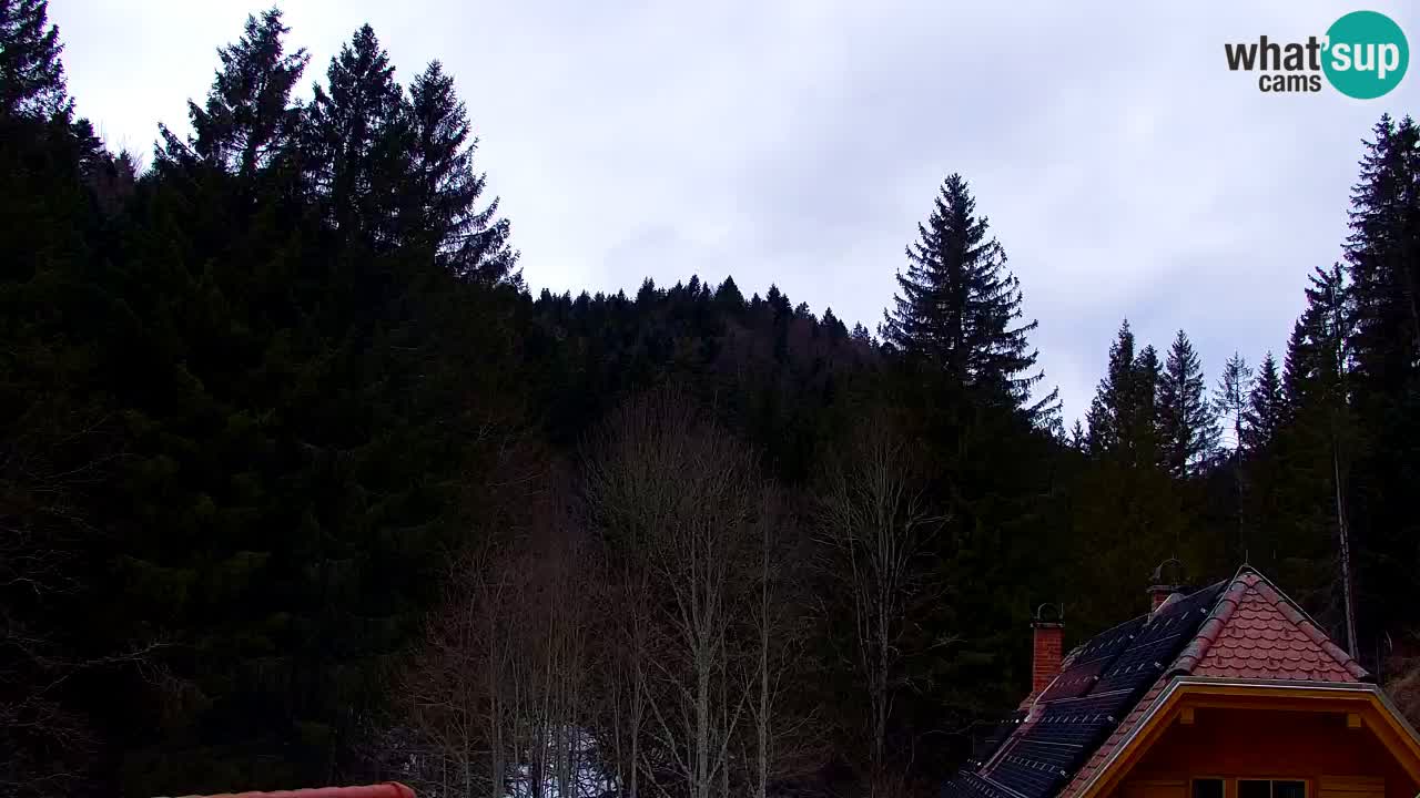 Webcam Lukanja – Pohorje houses a Water village