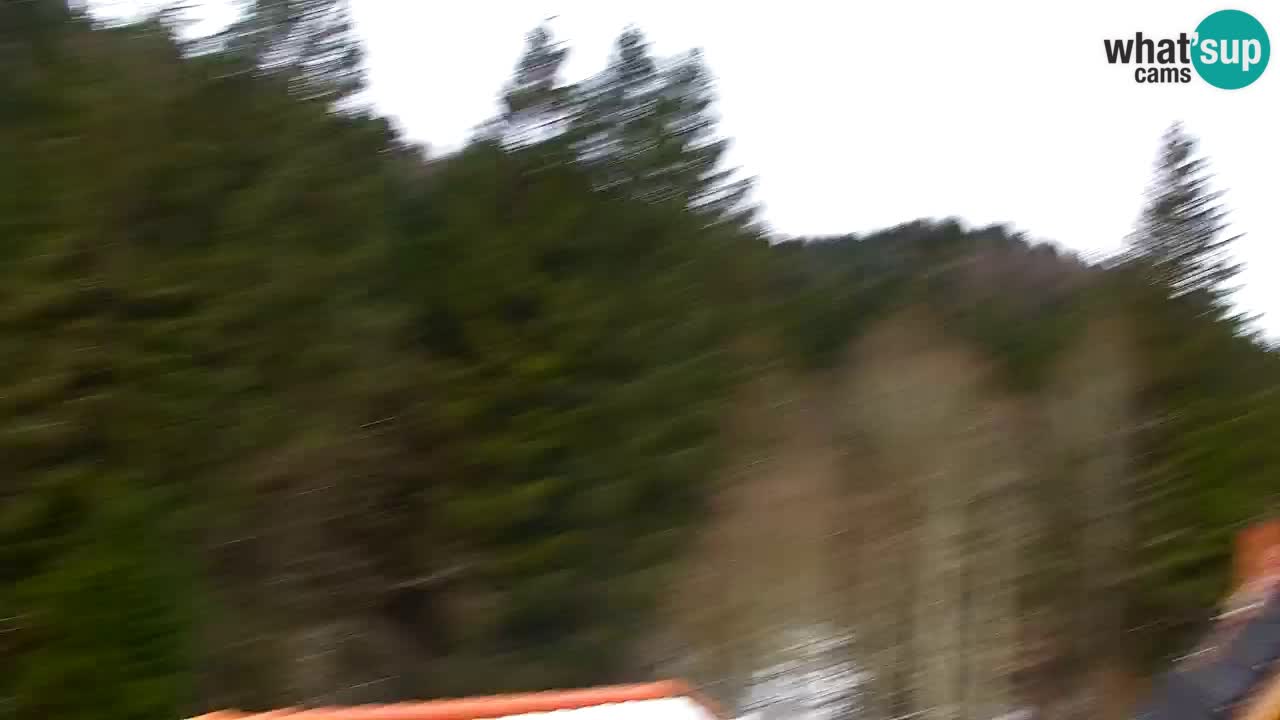 Webcam Lukanja – Pohorje houses a Water village