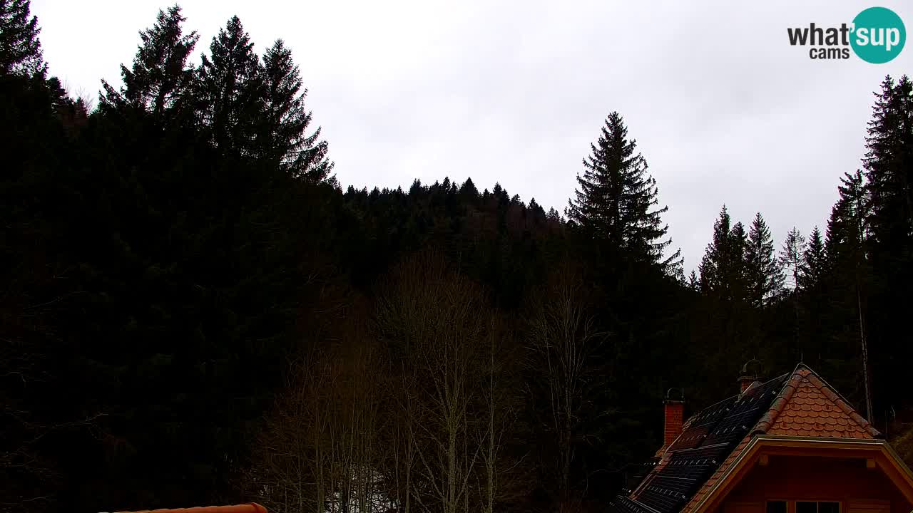 Webcam Lukanja – Water Village | Pohorje Houses