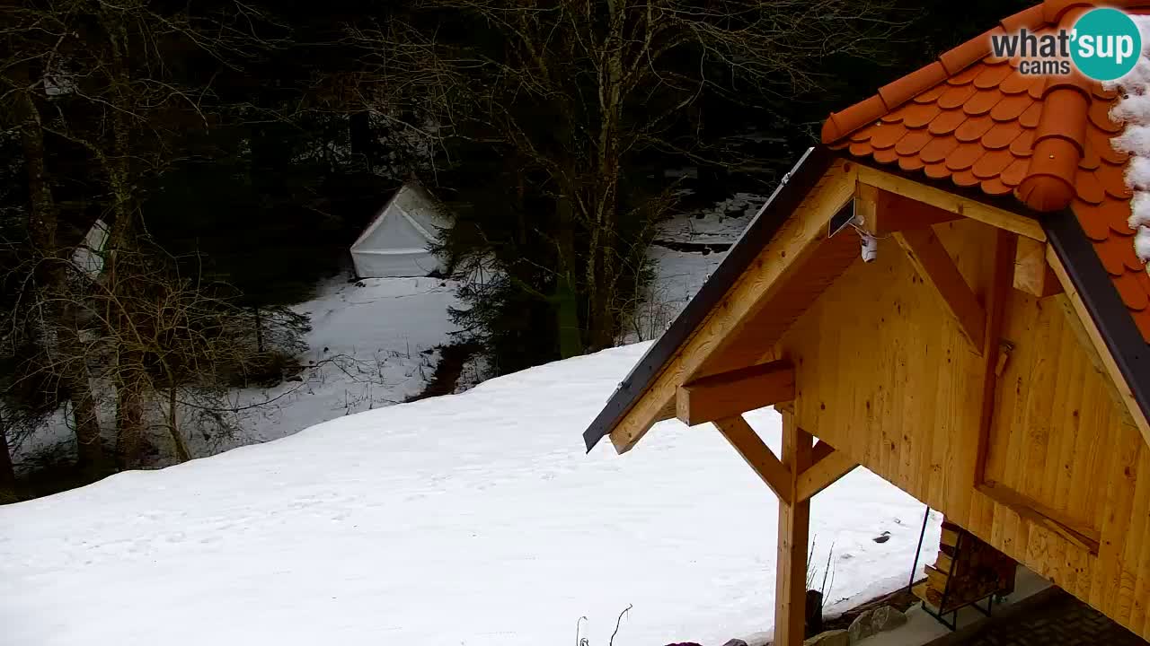 Webcam Lukanja – Pohorje houses a Water village