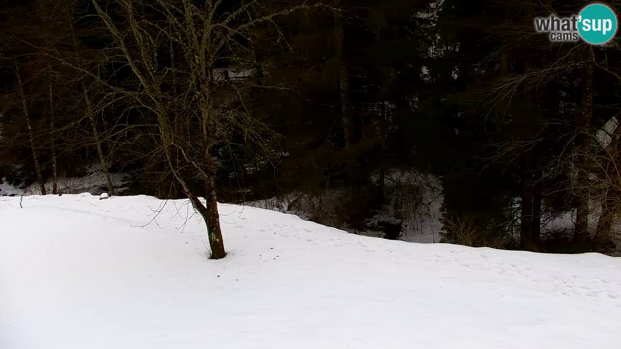 Webcam Lukanja – Water Village | Pohorje Houses