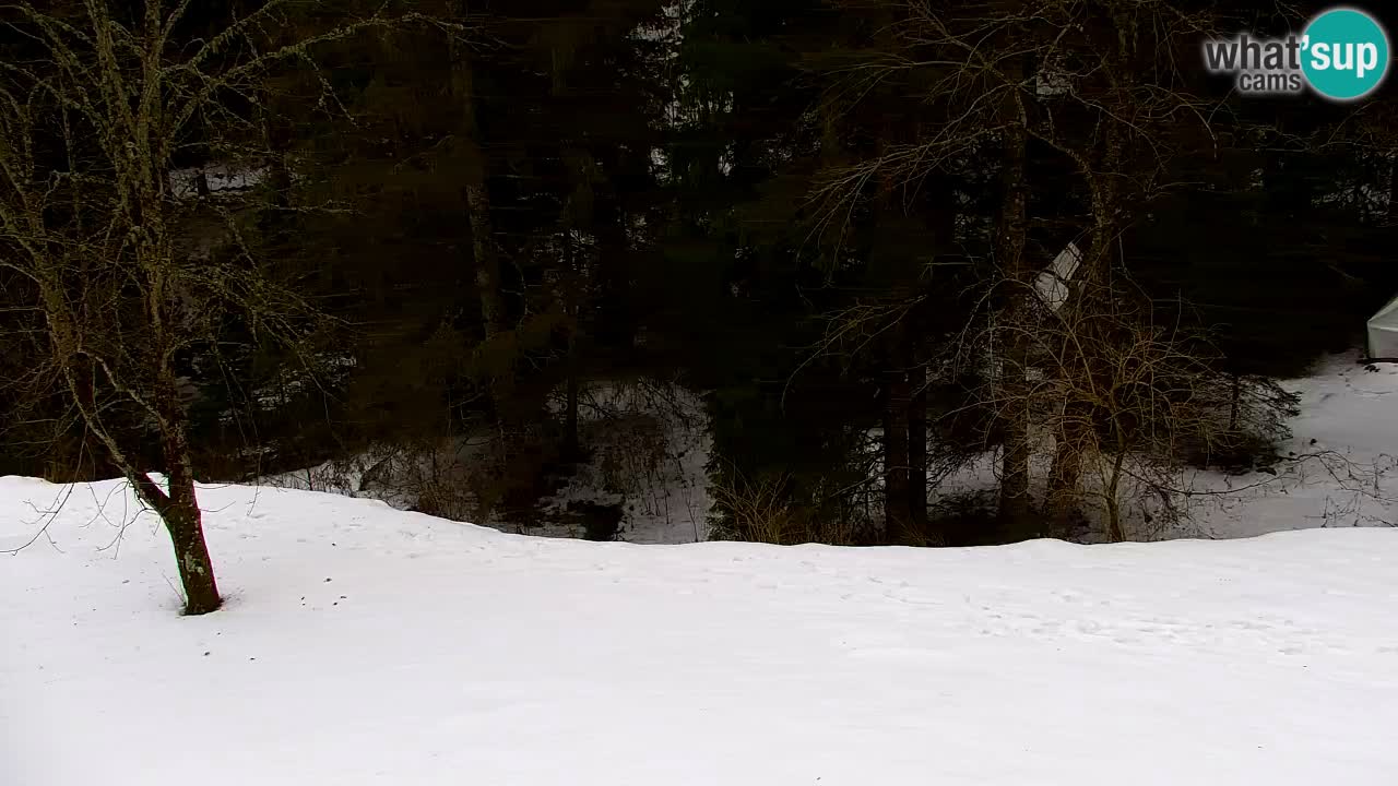 Webcam Lukanja – Pohorje houses a Water village