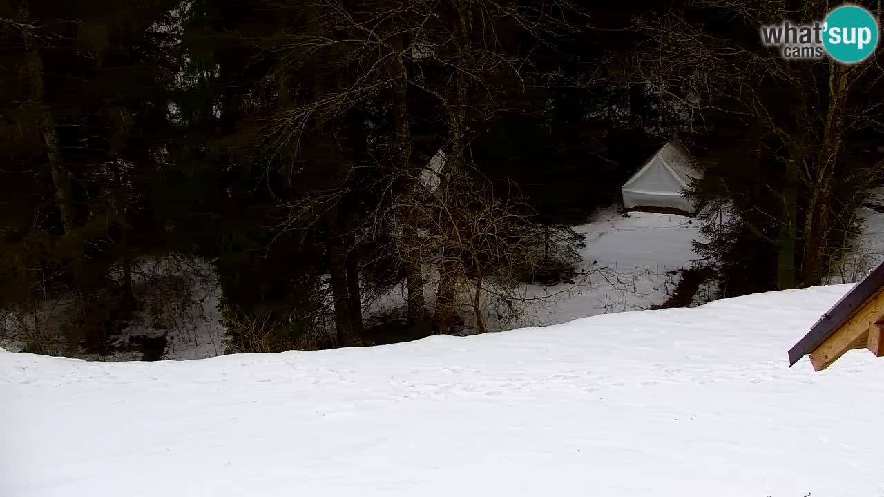 Webcam Lukanja – Pohorje houses a Water village