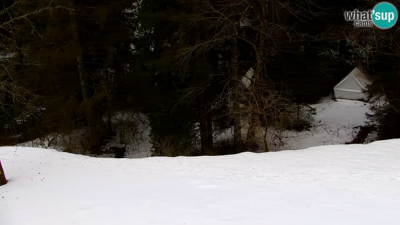 Webcam Lukanja – Water Village | Pohorje Houses