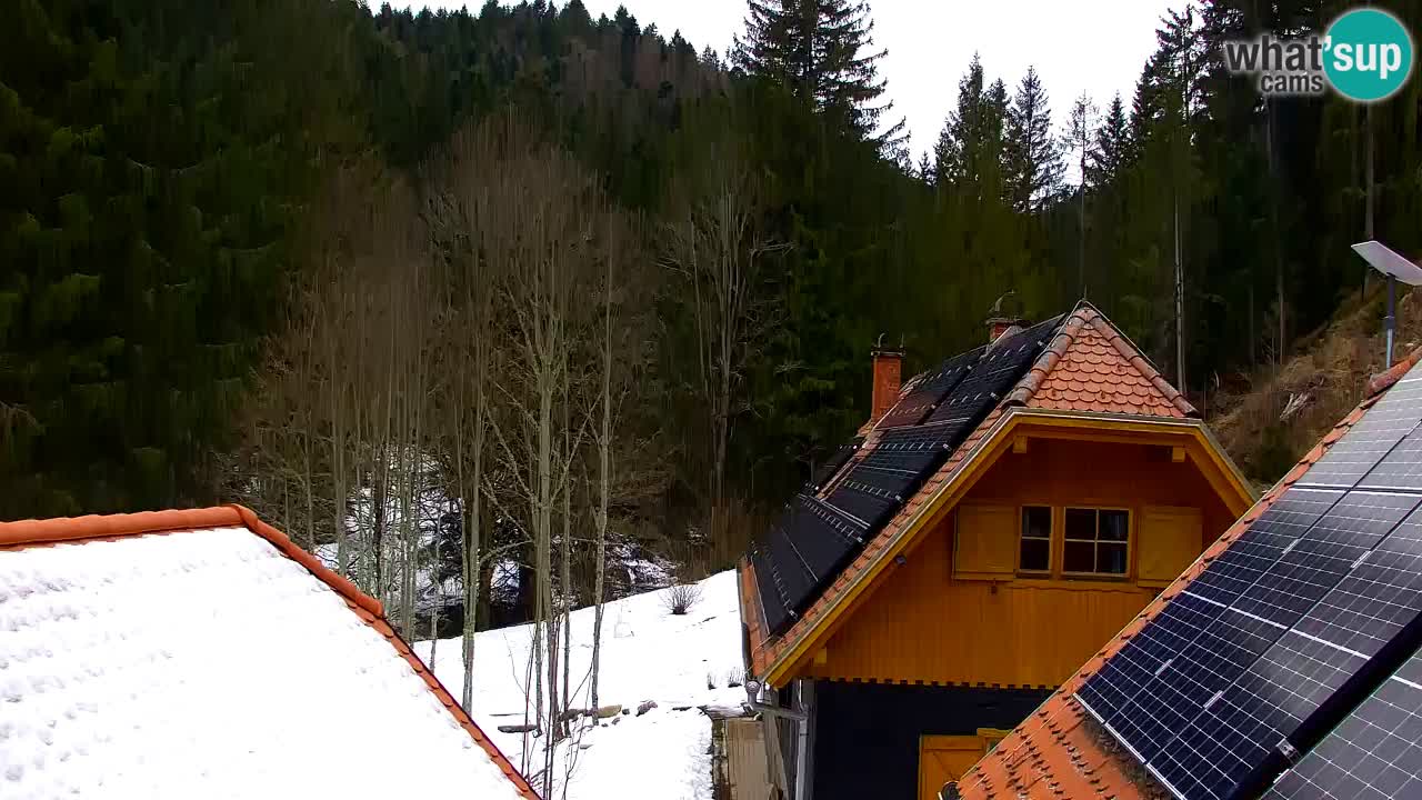 Spletna kamera Lukanja – Water Village | Pohorje Houses