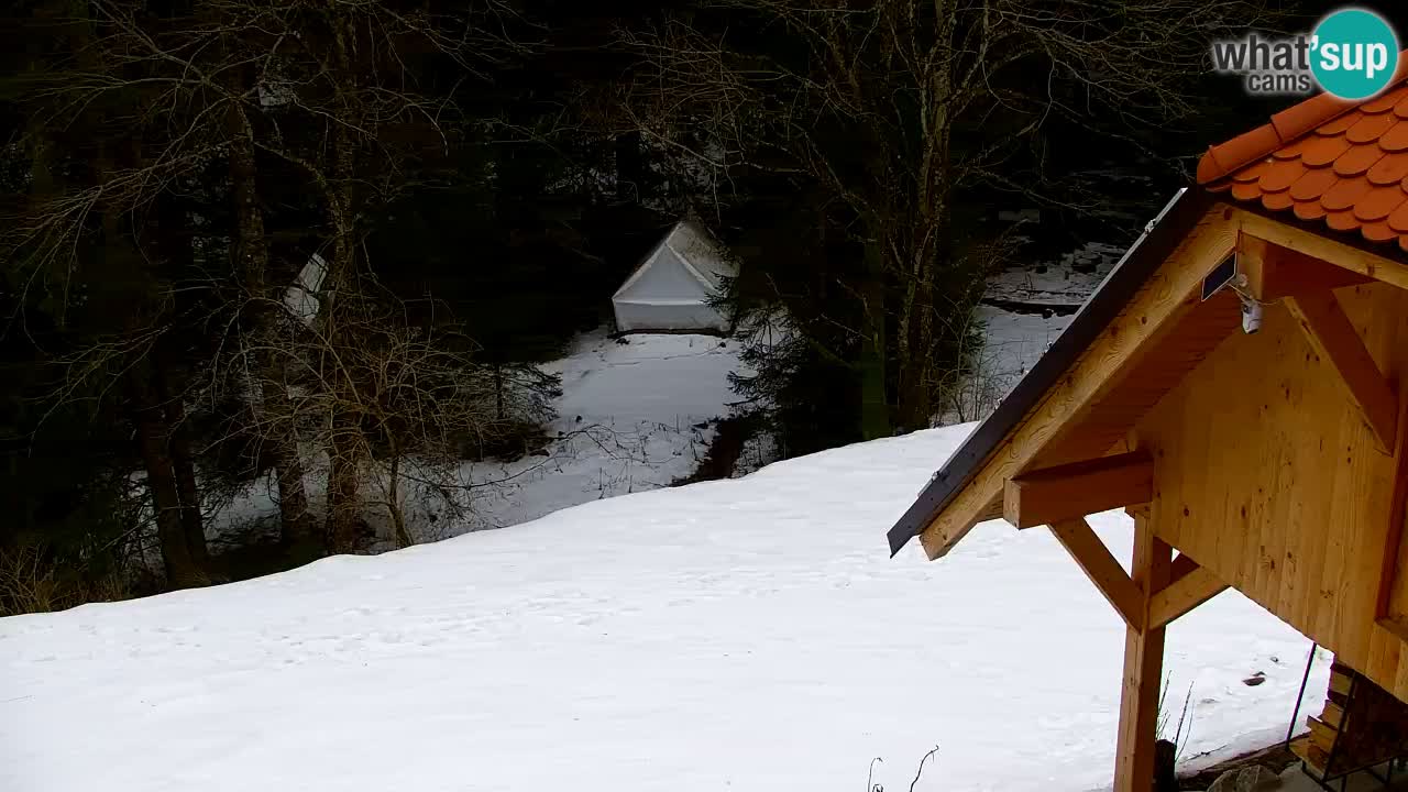 Spletna kamera Lukanja – Water Village | Pohorje Houses